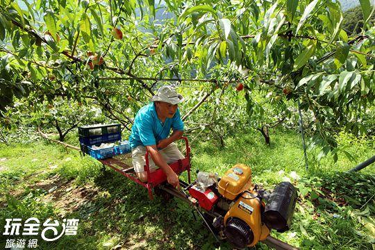 Da Kuan Peach Farm Resort Hualing Bagian luar foto