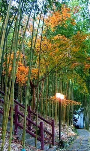 Da Kuan Peach Farm Resort Hualing Bagian luar foto
